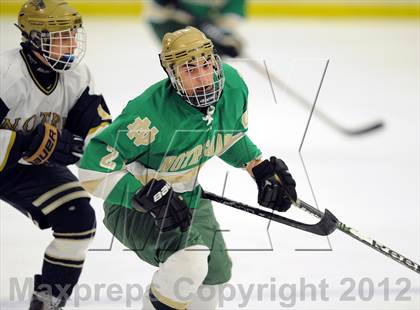 Thumbnail 3 in Notre Dame-West Haven vs. Notre Dame-Fairfield (Carrano Cup Semifinal) photogallery.