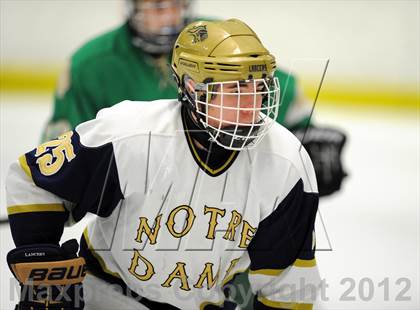 Thumbnail 1 in Notre Dame-West Haven vs. Notre Dame-Fairfield (Carrano Cup Semifinal) photogallery.