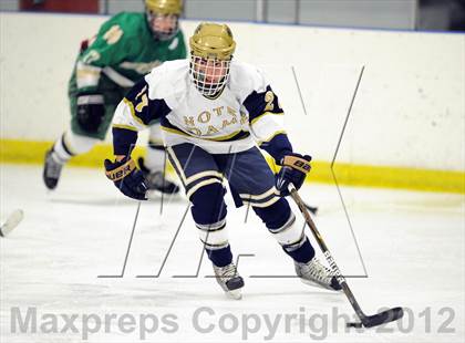 Thumbnail 1 in Notre Dame-West Haven vs. Notre Dame-Fairfield (Carrano Cup Semifinal) photogallery.