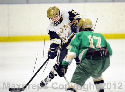 Thumbnail 2 in Notre Dame-West Haven vs. Notre Dame-Fairfield (Carrano Cup Semifinal) photogallery.