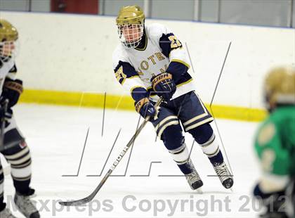 Thumbnail 3 in Notre Dame-West Haven vs. Notre Dame-Fairfield (Carrano Cup Semifinal) photogallery.