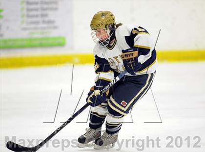 Thumbnail 1 in Notre Dame-West Haven vs. Notre Dame-Fairfield (Carrano Cup Semifinal) photogallery.