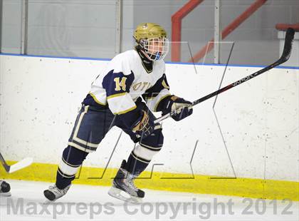 Thumbnail 1 in Notre Dame-West Haven vs. Notre Dame-Fairfield (Carrano Cup Semifinal) photogallery.
