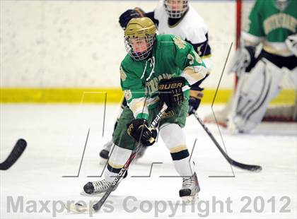 Thumbnail 1 in Notre Dame-West Haven vs. Notre Dame-Fairfield (Carrano Cup Semifinal) photogallery.