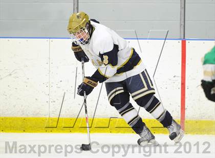 Thumbnail 1 in Notre Dame-West Haven vs. Notre Dame-Fairfield (Carrano Cup Semifinal) photogallery.