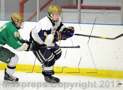 Thumbnail 1 in Notre Dame-West Haven vs. Notre Dame-Fairfield (Carrano Cup Semifinal) photogallery.
