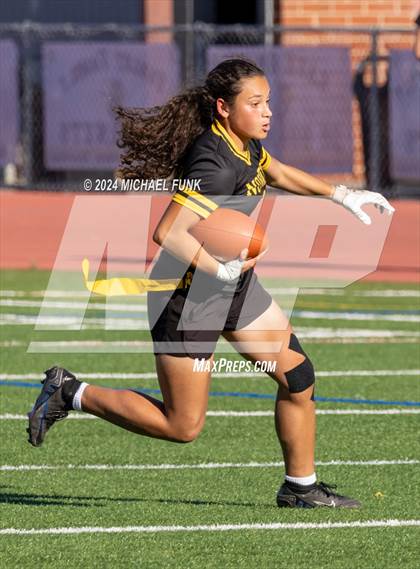 Thumbnail 3 in Petaluma @ Novato photogallery.