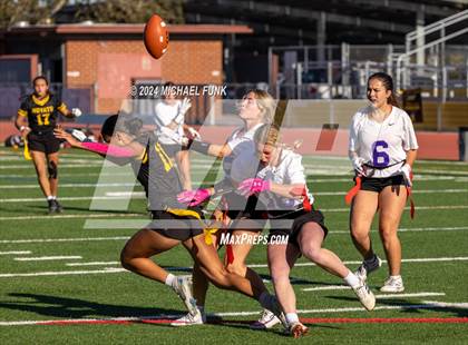 Thumbnail 1 in Petaluma @ Novato photogallery.