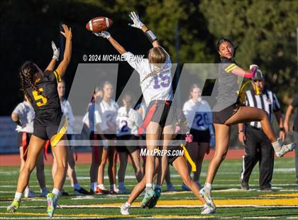 Thumbnail 1 in Petaluma @ Novato photogallery.