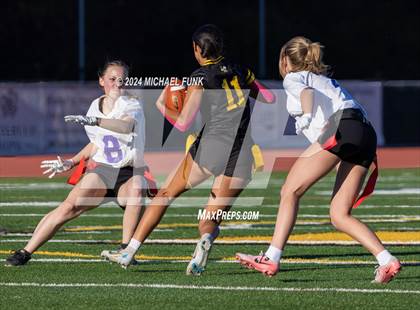 Thumbnail 2 in Petaluma @ Novato photogallery.