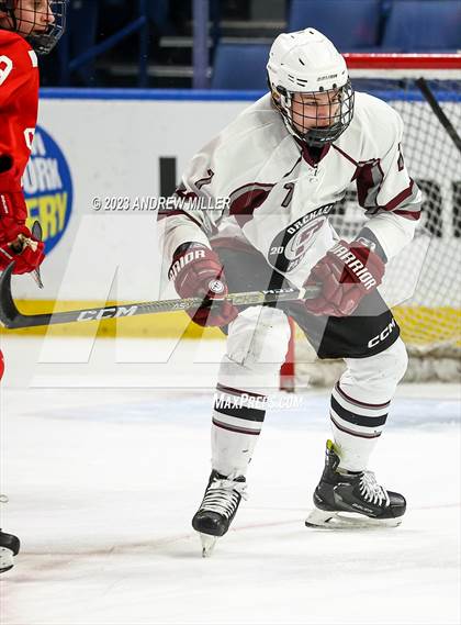 Thumbnail 2 in Clarence at Orchard Park (NYSPHSAA Section VI  D1 Final) photogallery.