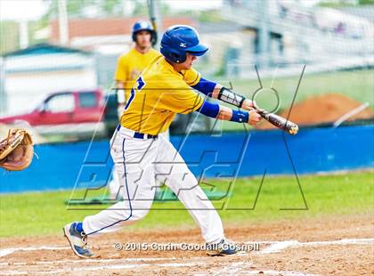 Thumbnail 1 in Havelock @ Richlands photogallery.