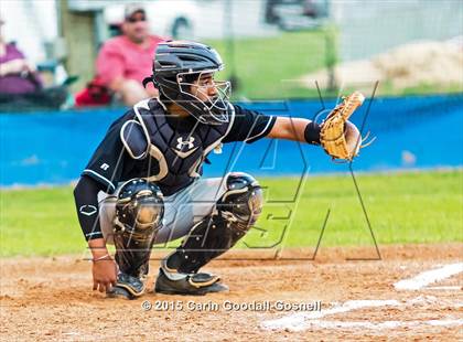 Thumbnail 2 in Havelock @ Richlands photogallery.