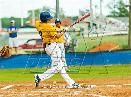 Thumbnail 3 in Havelock @ Richlands photogallery.