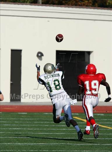 null - Photo 11