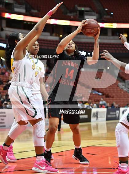 Thumbnail 1 in Harvard-Westlake vs. Long Beach Poly (CIF SS Open DIV Final) photogallery.