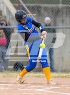 Photo from the gallery "Mountain View @ Cotter"