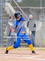 Photo from the gallery "Mountain View @ Cotter"