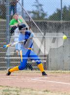 Photo from the gallery "Mountain View @ Cotter"