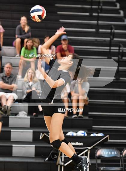 Thumbnail 1 in Bowie @ Vandegrift photogallery.
