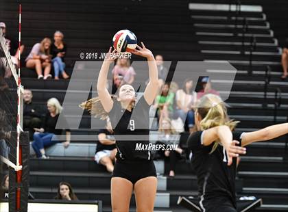 Thumbnail 3 in Bowie @ Vandegrift photogallery.