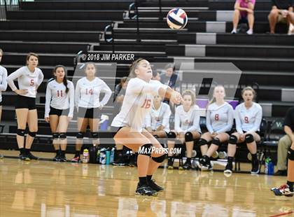 Thumbnail 3 in Bowie @ Vandegrift photogallery.