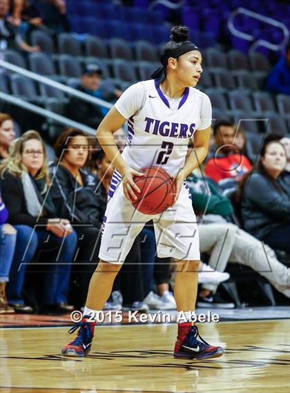 Thumbnail 1 in Desert Vista vs Millenium (Hoopin' it Up at the Arena) photogallery.