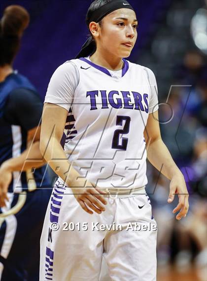 Thumbnail 1 in Desert Vista vs Millenium (Hoopin' it Up at the Arena) photogallery.