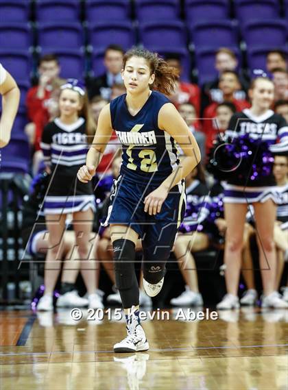 Thumbnail 1 in Desert Vista vs Millenium (Hoopin' it Up at the Arena) photogallery.