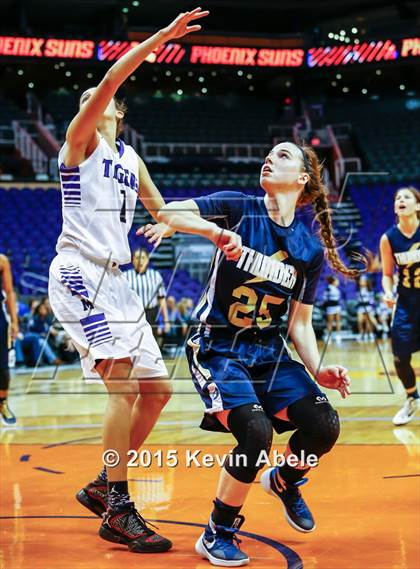 Thumbnail 1 in Desert Vista vs Millenium (Hoopin' it Up at the Arena) photogallery.