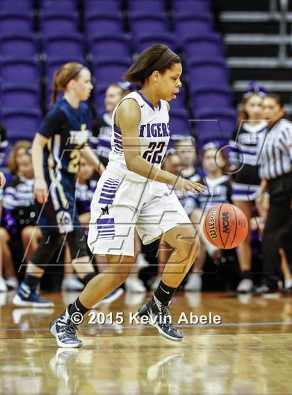 Thumbnail 1 in Desert Vista vs Millenium (Hoopin' it Up at the Arena) photogallery.