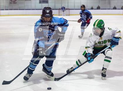 Thumbnail 2 in Brick Township @ Freehold Township photogallery.