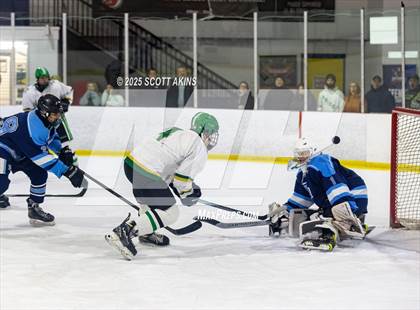 Thumbnail 2 in Brick Township @ Freehold Township photogallery.