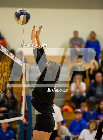 Thumbnail 1 in Tuxedo vs. SS Seward (Section 9 Class D Final) photogallery.