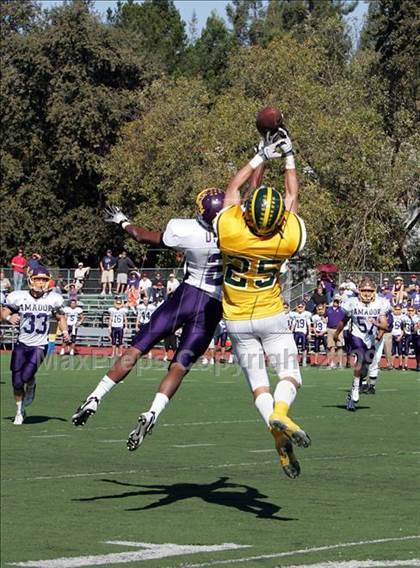 Thumbnail 1 in Amador Valley @ San Ramon Valley photogallery.