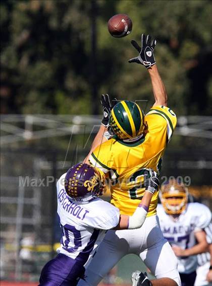 Thumbnail 3 in Amador Valley @ San Ramon Valley photogallery.