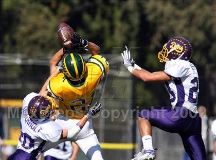 Thumbnail 1 in Amador Valley @ San Ramon Valley photogallery.