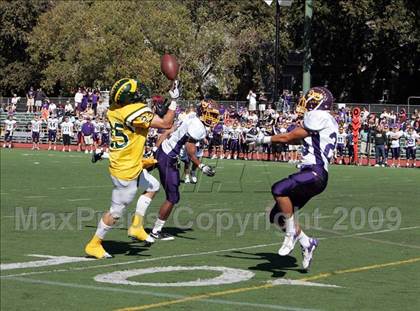 Thumbnail 2 in Amador Valley @ San Ramon Valley photogallery.