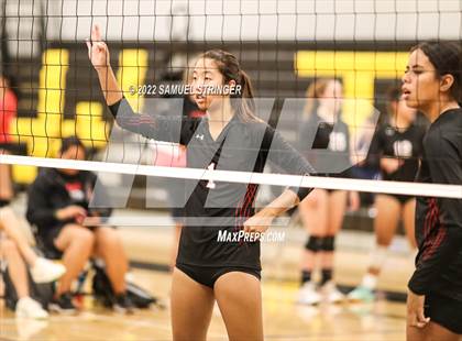 Thumbnail 1 in Aragon vs. Notre Dame (Spikefest 1) photogallery.