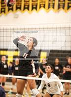 Photo from the gallery "Aragon vs. Notre Dame (Spikefest 1)"
