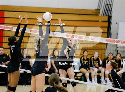Thumbnail 1 in Ventura @ Harvard-Westlake (CIF SS Playoffs) photogallery.