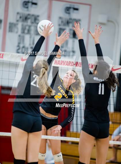 Thumbnail 3 in Ventura @ Harvard-Westlake (CIF SS Playoffs) photogallery.