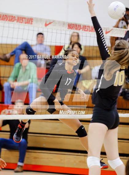 Thumbnail 3 in Ventura @ Harvard-Westlake (CIF SS Playoffs) photogallery.
