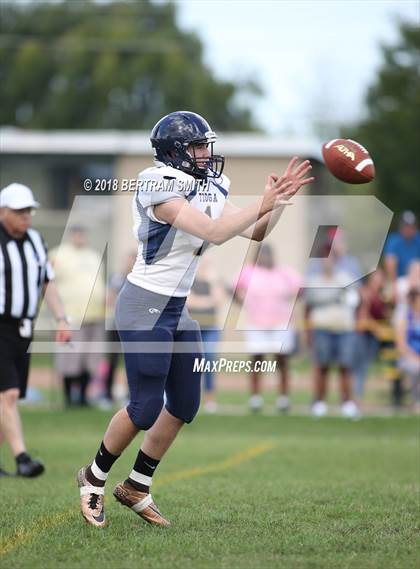 Thumbnail 2 in Tioga @ Cardinal O'Hara photogallery.