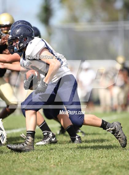 Thumbnail 1 in Tioga @ Cardinal O'Hara photogallery.