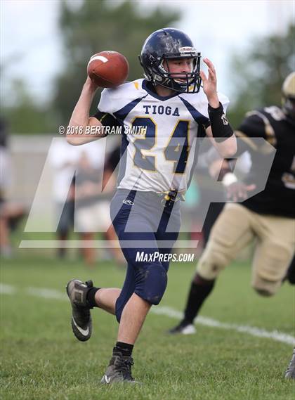 Thumbnail 3 in Tioga @ Cardinal O'Hara photogallery.