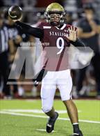 Photo from the gallery "Williams Field @ Shadow Ridge"