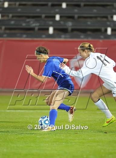 null - Photo 21