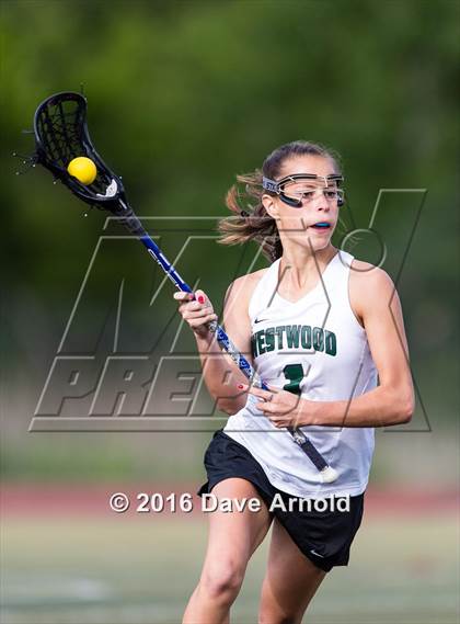 Thumbnail 1 in Needham vs Westwood (MIAA Division 1 South Final) photogallery.
