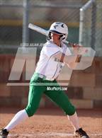 Photo from the gallery "Timberline @ Mountain View"